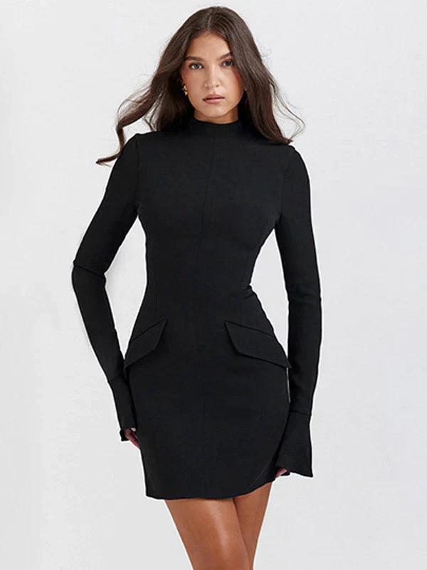 Bodycon Women's Dress