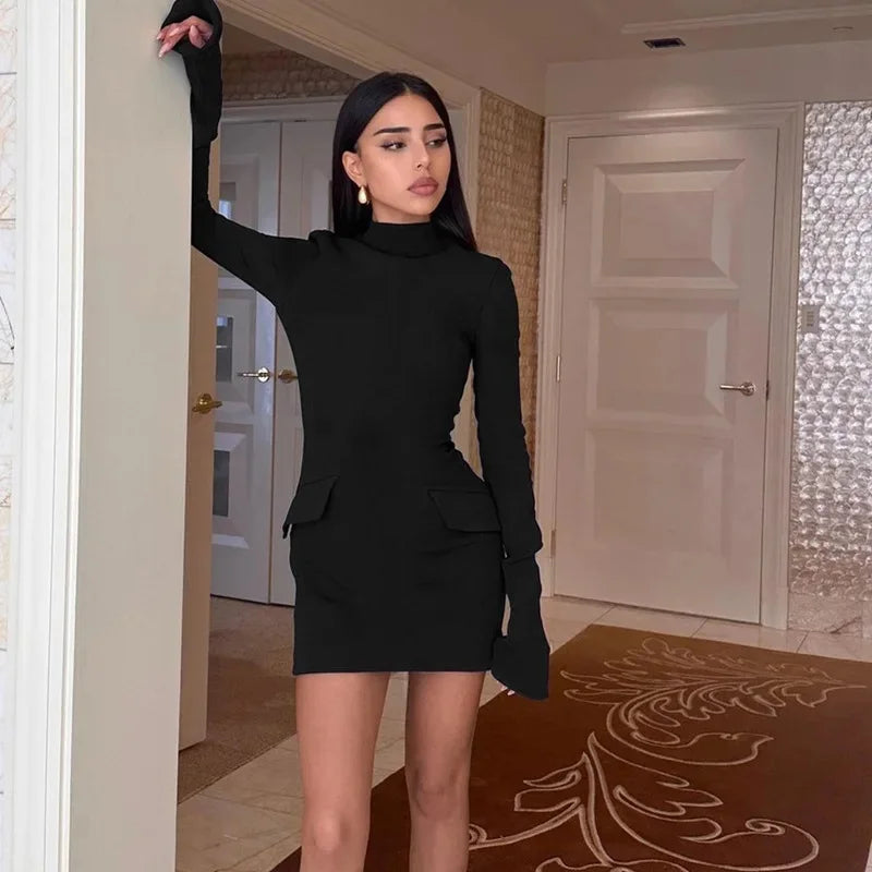 Bodycon Women's Dress