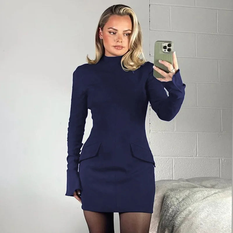 Bodycon Women's Dress